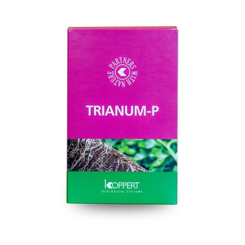 trianum-p.jpg