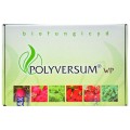 polyversum.jpeg