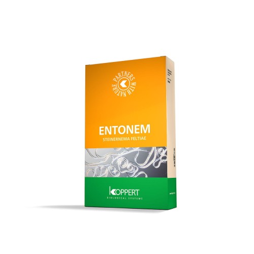 entonem.jpg