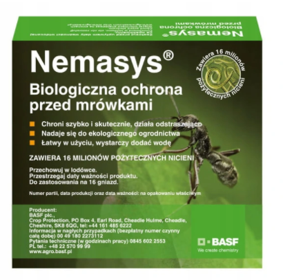 nemasys mrówki.png