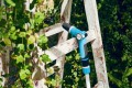 WW_cellfast_29.05.201749035-preview.jpg