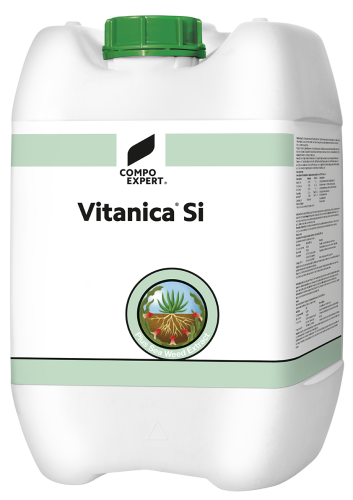 vitanica si.png