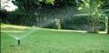 8005.webp