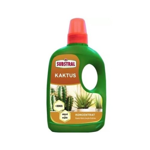 kaktusów.jpg