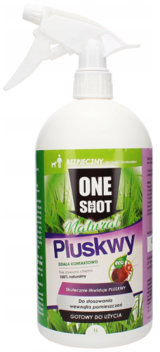 pluskwy.png