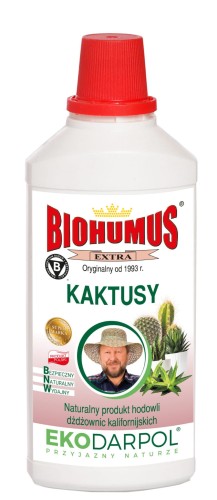 kaktusy.jpg