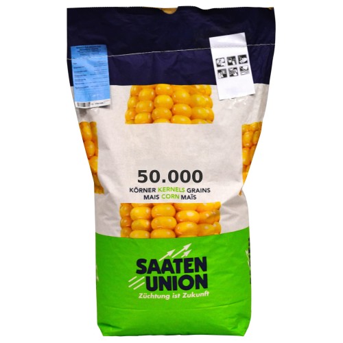 saaten_union.jpg