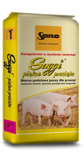 Suggi-Sano-21.jpg