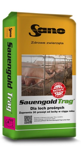 SauengoldTrag-Sano-21.jpg