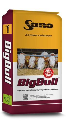 big-bull-Sano.jpg