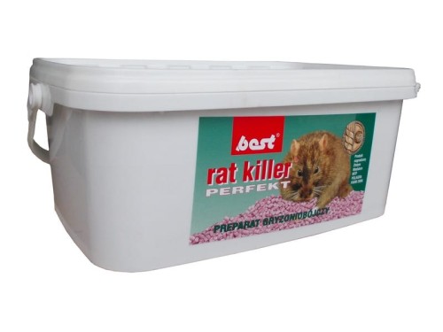 rat 3k.jpg