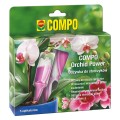 orchid power 5x.jpg