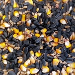 Mieszanka ziaren dla ptaków 1kg 