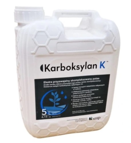 korbaksylan 5l.jpg