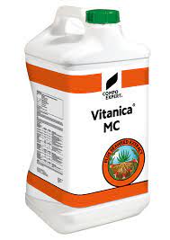 vitanica mc.jpg