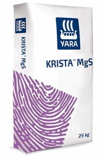 krista mgs.jpg