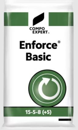 enforce basic.jpg