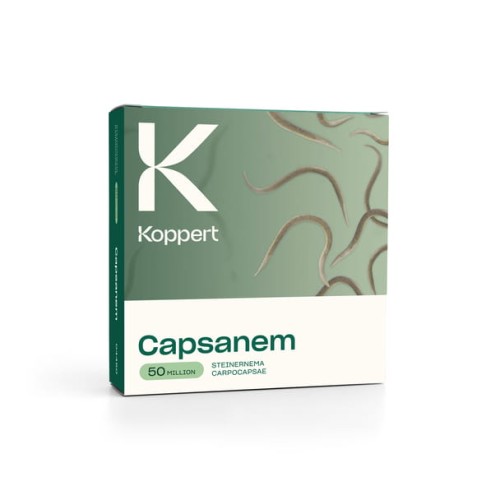 capsanem.jpg