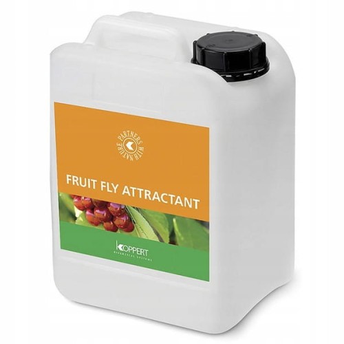 fruit fly.jpg