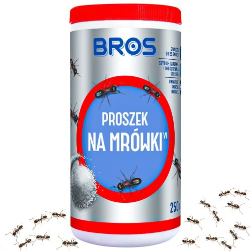 mrówki 250.jpg