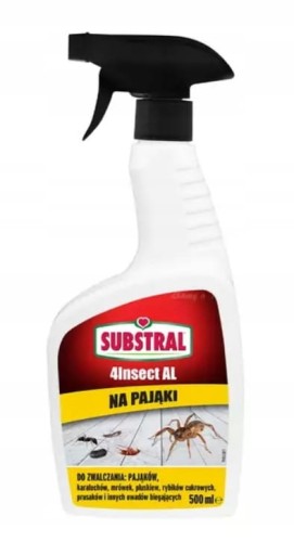 pająki.jpg