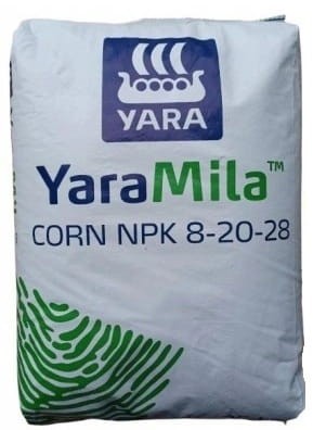 corn.jpg