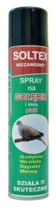 gołębie.jpg