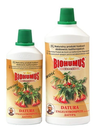 datura.jpg