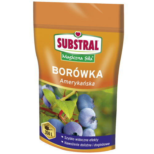 borówka.jpg
