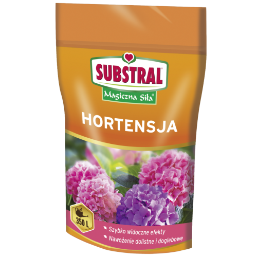 hortensja.jpg