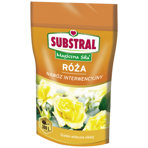 róża.jpg
