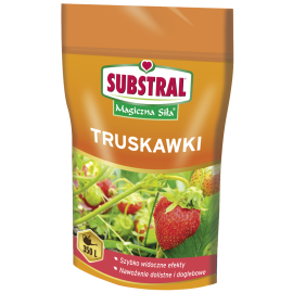 truskawki.png