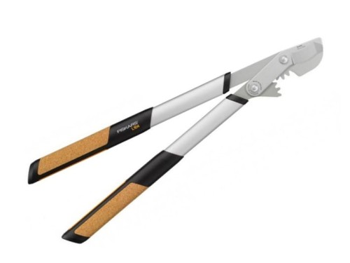 Sekator 1001438.jpg