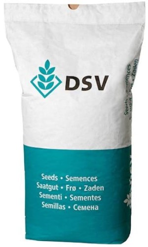 dsv.jpg
