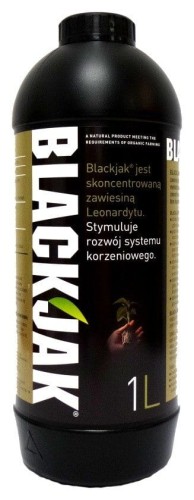blackjack-1l.jpg
