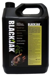 BlackJak 5l 