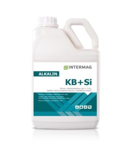 Intermag Alkalin KB + Si 5l 