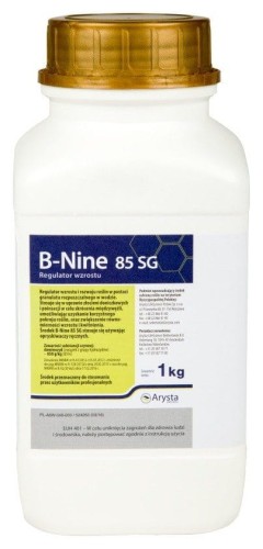b-nine 1kg.jpg